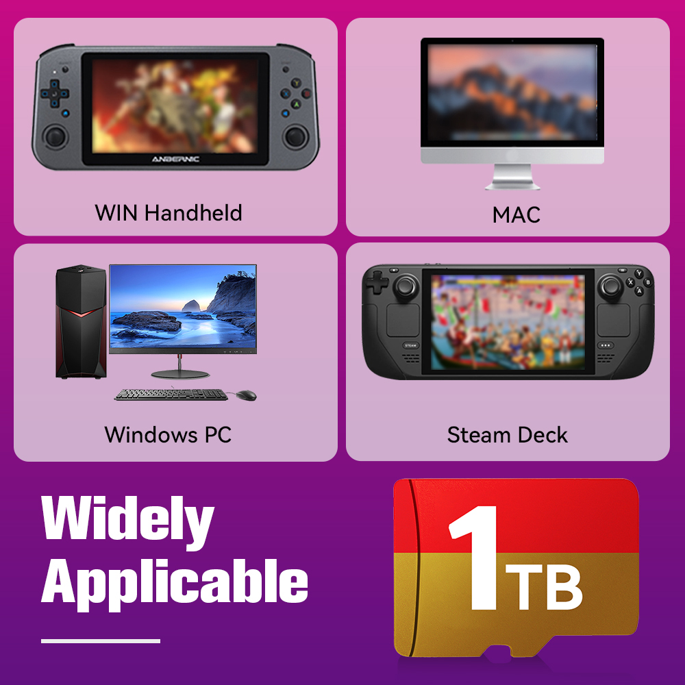 1TB Gaming Card With 61000 Ret - Retro Gaming Batocera recensione e prezzo